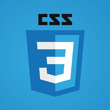 CSS Logo